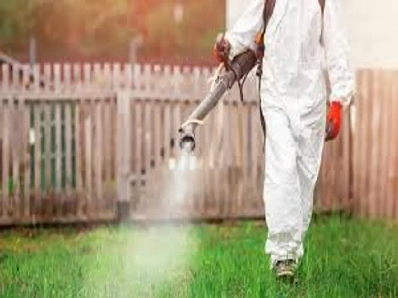 Disinfestazione: ecco quanto dura davvero l’effetto, secondo gli esperti