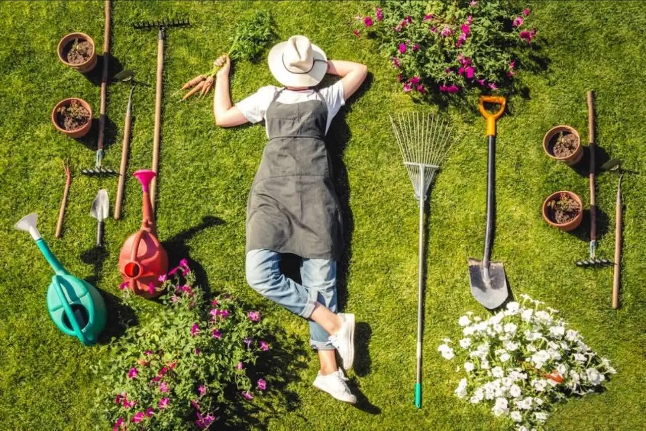 Nuova legge per i giardinieri: senza questa qualifica, rischi una multa