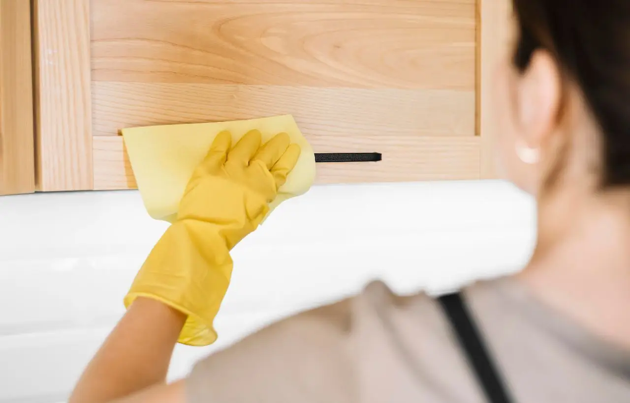 L’errore comune che fai in casa e che attira subito insetti indesiderati