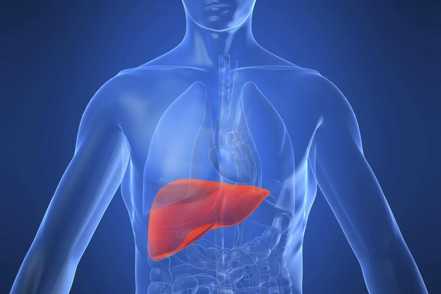 Non puoi ripulire il fegato se continui a mangiare questi 3 alimenti comuni